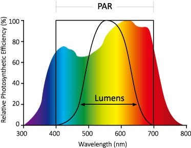 horti_LED_PAR_wavelength_range