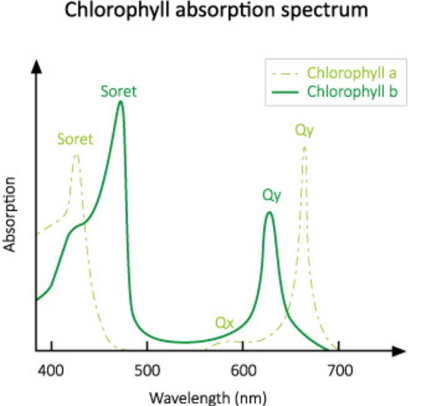 horti_LED_PAR_weighing_spectrum_realistic.jpg