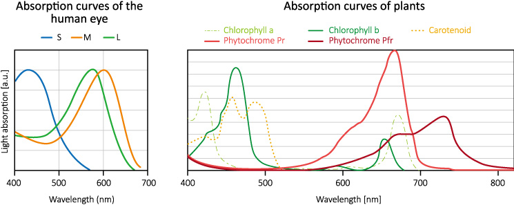 horti_LED_absorption-curves