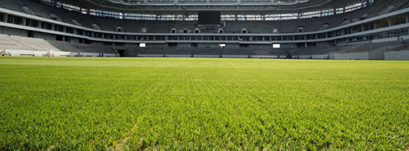 stadium grass sunlight 2