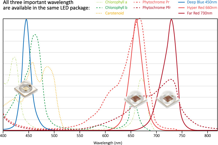 horticulture_LED_osram_deep-blue_hyper-red_far-red_wavelength